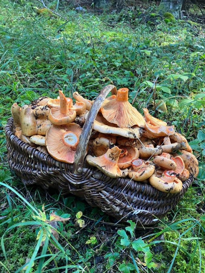 Gite Le Pelens Saint-Martin-dʼEntraunes Eksteriør billede